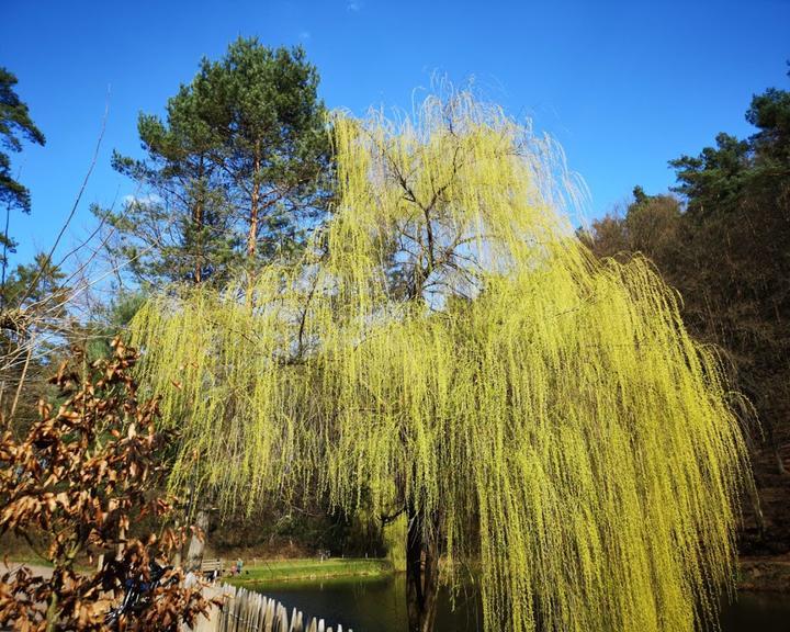 Paddelweiher Huette